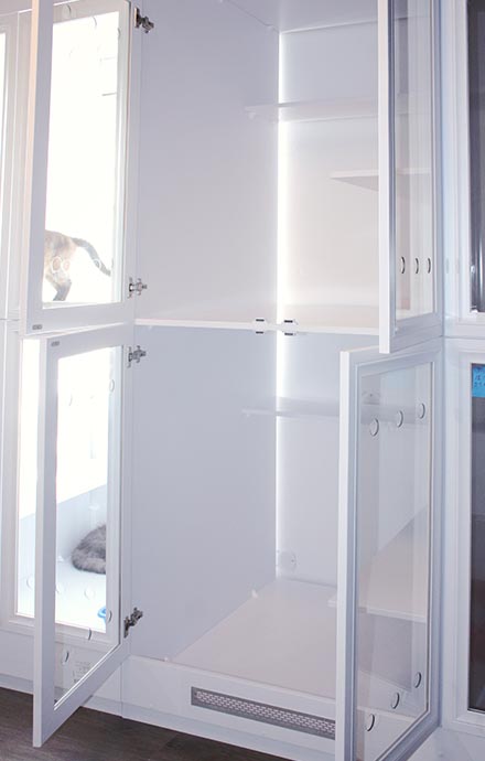 catshotel standart01