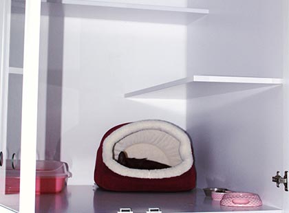 catshotel standart03